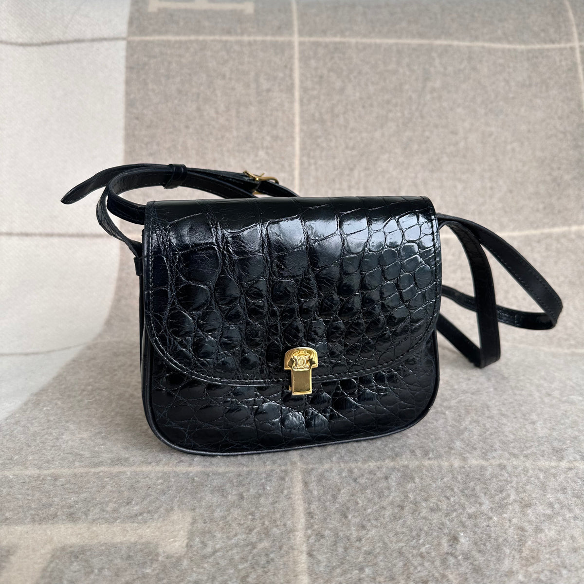 Vintage Celine Crocodile Embossed Calfskin Mini Shoulder Bag
