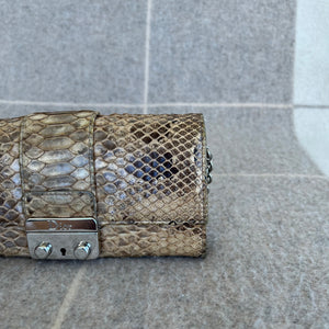 
            
                Load image into Gallery viewer, Dior Python Wallet on Chain
            
        