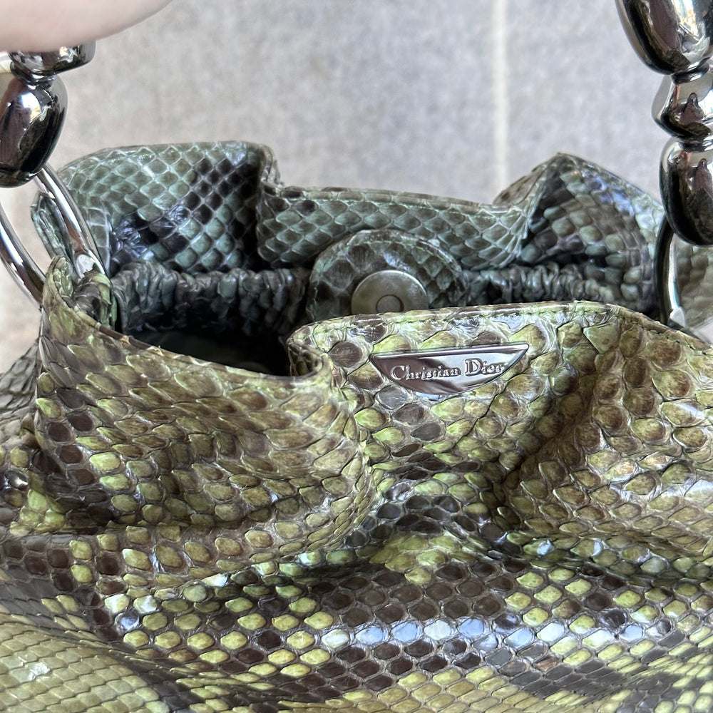 Dior 2025 snake bag